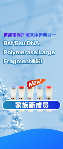 A21K Mr角轉(zhuǎn)子 23120 G, 12×10ml E2746 技術(shù)參數(shù)與服務(wù)解析