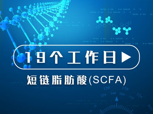 質(zhì)譜服務(wù)的價(jià)格、采購與供應(yīng)商信息詳解