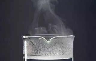 美容院絕對不告訴的驚人秘密 清洗刷的正確方式與深層保養